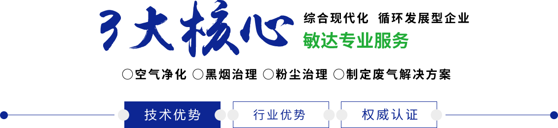 日逼视频啊啊啊敏达环保科技（嘉兴）有限公司